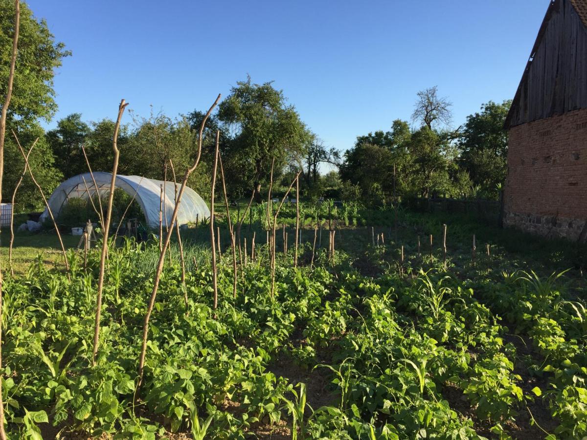 Pensiune Agroturistica Hanna Ocland Екстер'єр фото